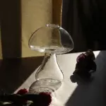 Glass Propagation Mushrooms