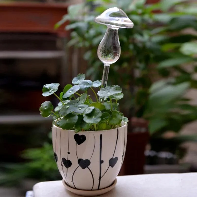 Glass Watering Mushroom -