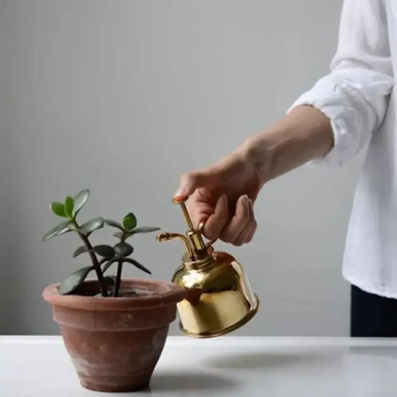 Gold Plant Spray Bottle