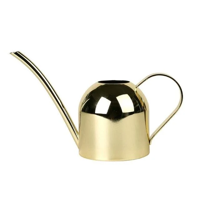 Gold Stainless Steel Watering Can 500ML - 