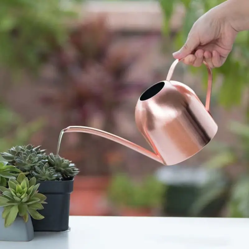 Gold Stainless Steel Watering Can 500ML