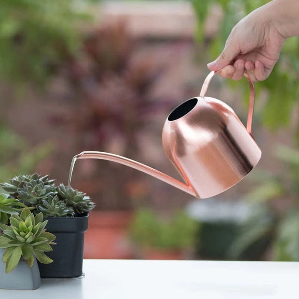 Gold Stainless Steel Watering Can 500ML -
