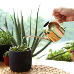 Gold Stainless Steel Watering Can 500ML