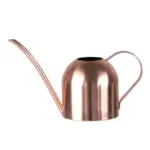 Gold Stainless Steel Watering Can 500ML