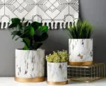 Golden Marble Pattern Succulents Pot Plant Pot With Tray Ceramic Cylindrical Shape Flower Pot Home Christmas