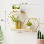 Golden Floating Shelf tag1