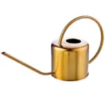 Golden Stainless Steel Watering Can