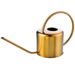 Golden Stainless Steel Watering Can