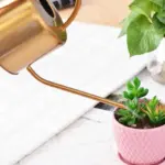 Golden Stainless Steel Watering Can
