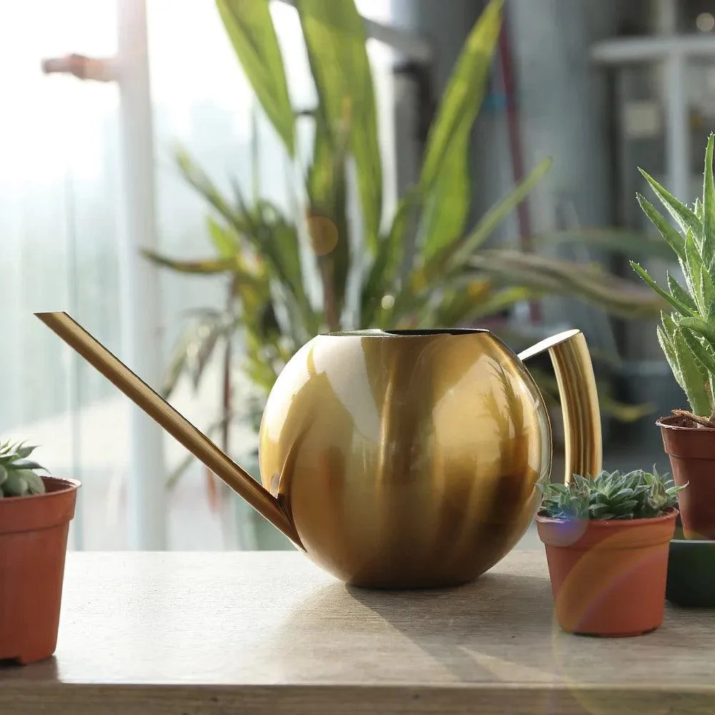 Gooseneck Stainless Steel Watering Can - 