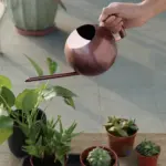 Gooseneck Stainless Steel Watering Can