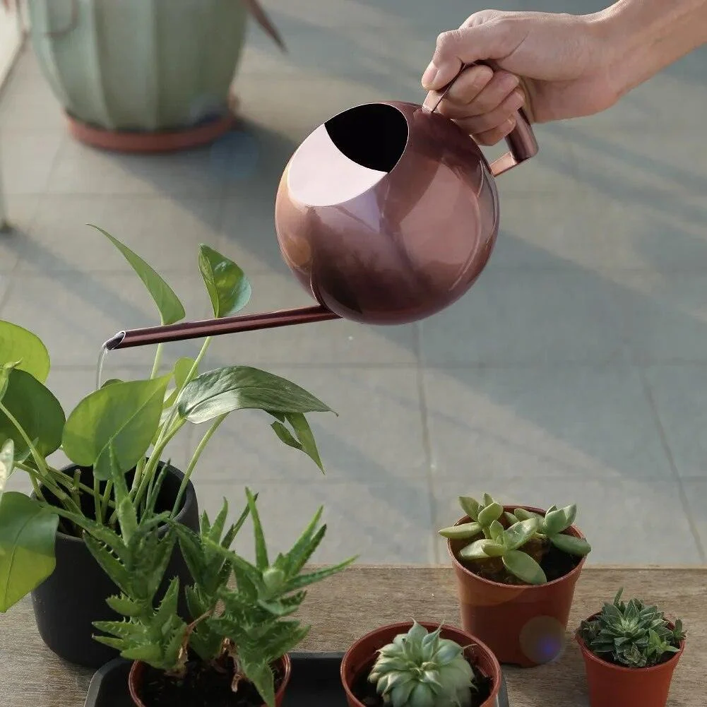 Gooseneck Stainless Steel Watering Can -