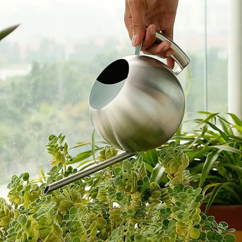 Gooseneck Stainless Steel Watering Can
