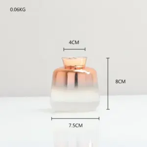 Gradient Glass Vase