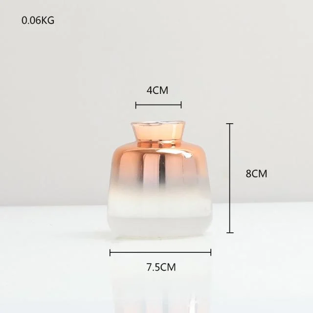 Gradient Glass Vase -  - #tag1#