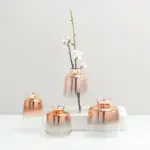Gradient Glass Vase tag1