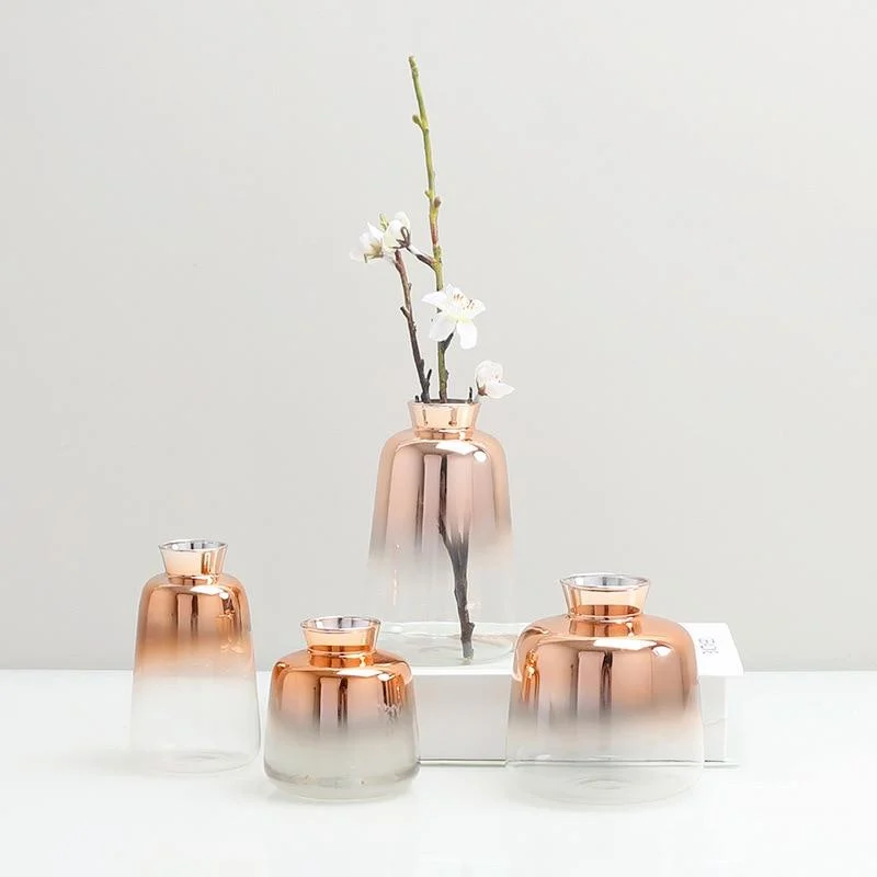 Gradient Glass Vase -  - #tag1#