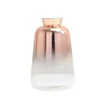 Gradient Glass Vase tag1
