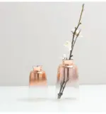 Gradient Glass Vase tag1