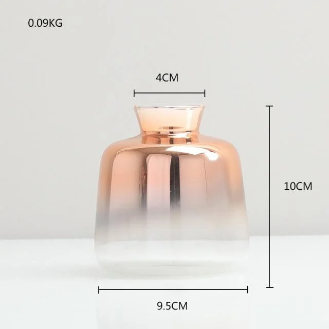 Gradient Glass Vase -  - #tag1#
