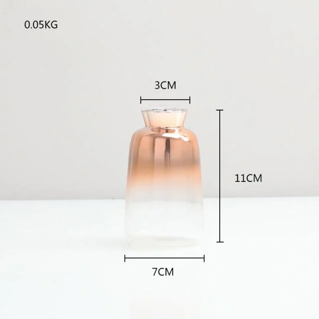 Gradient Glass Vase -  - #tag1#
