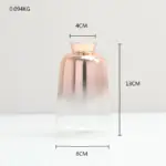 Gradient Glass Vase tag1