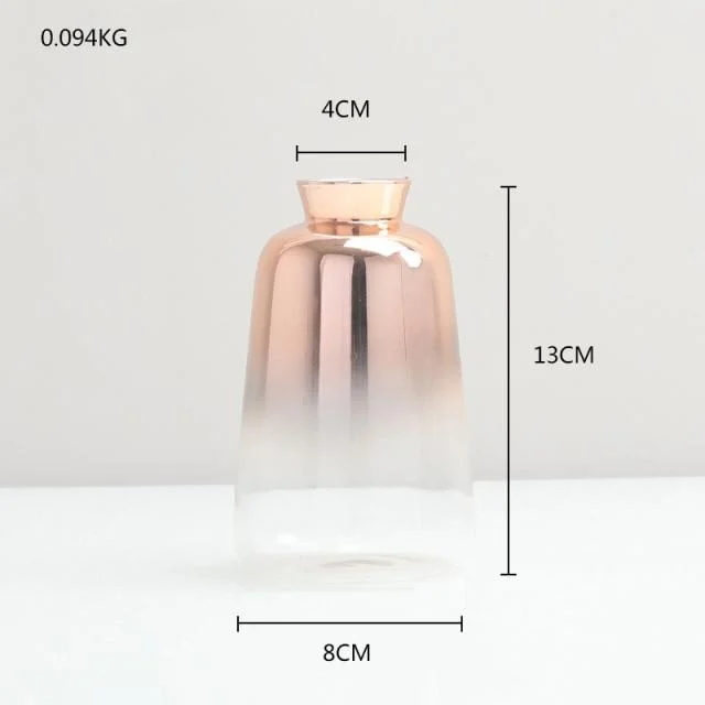 Gradient Glass Vase -  - #tag1#