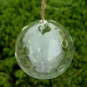 Grahaniya - Decorative Hanging Ball flower Vase