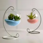 Grahaniya DecorativeHangingBallflowerVase Homeko2
