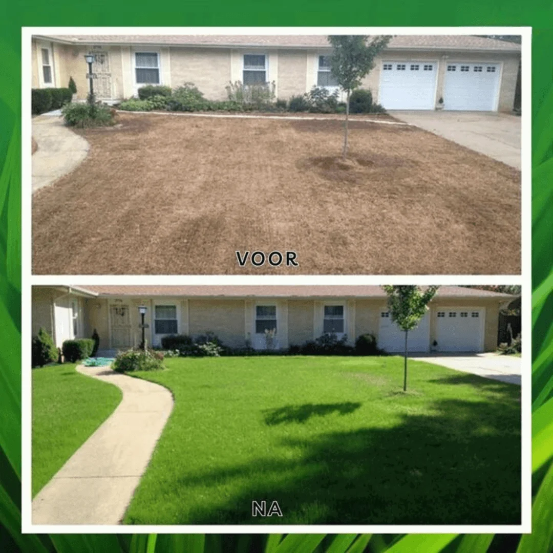 Grass Seed Mat - RapidGreen - Fast Growing - Easy Lawn Maintenance -  - #tag1#