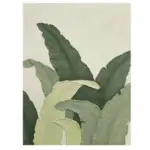 Gwendolyn_Canvas_-_-4198747 Gwendolyn Canvas