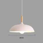 H20500a4c28b14b4f88322b47953c3e631