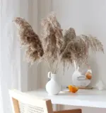 H2c083750c251472a9c8cff74b03b281fX