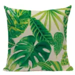 HAVANA CUSHION tag1