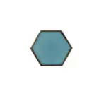 HEXACOAST COASTER tag1