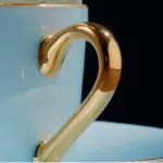 HTB1Y0MXaqWs3KVjSZFxq6yWUXXan