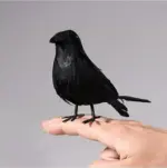 Halloween_Black_Crow_Model_Simulation_Fake_Bird_Animal_Scary_Toys_For_Halloween_Party_Home_Decoration_Horror_Props_-_-_tag1_-4248527 Halloween Black Crow Model Simulation Fake Bird Animal Scary Toys For Halloween Party Home Decoration Horror Props tag1