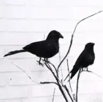 Halloween_Black_Crow_Model_Simulation_Fake_Bird_Animal_Scary_Toys_For_Halloween_Party_Home_Decoration_Horror_Props_-_-_tag1_-4248540 Halloween Black Crow Model Simulation Fake Bird Animal Scary Toys For Halloween Party Home Decoration Horror Props tag1