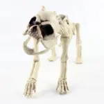Halloween Decoration Artificial Animal Skeleton tag1