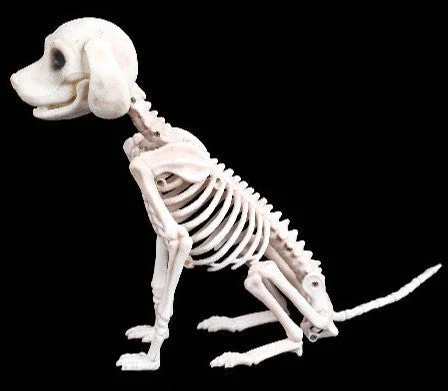 Halloween Decoration Artificial Animal Skeleton -  - #tag1#