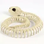 Halloween Decoration Artificial Animal Skeleton tag1