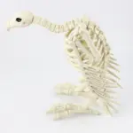 Halloween Decoration Artificial Animal Skeleton tag1