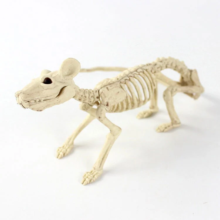 Halloween Decoration Artificial Animal Skeleton -  - #tag1#