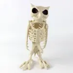 Halloween Decoration Artificial Animal Skeleton tag1