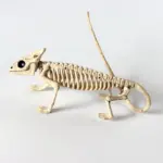 Halloween Decoration Artificial Animal Skeleton tag1