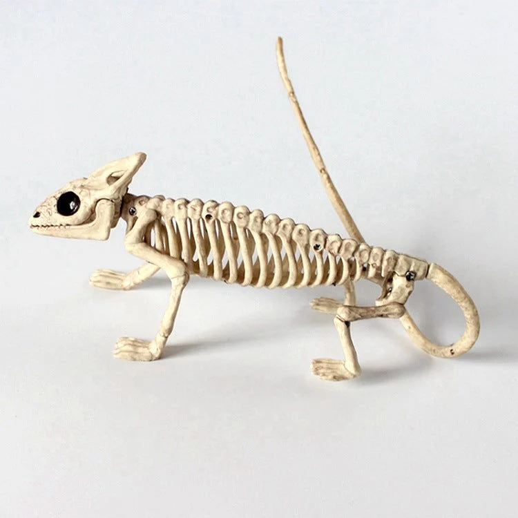 Halloween Decoration Artificial Animal Skeleton -  - #tag1#
