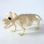Halloween Decoration Artificial Animal Skeleton tag1