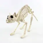 Halloween Decoration Artificial Animal Skeleton tag1
