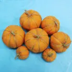 Halloween Decorative Ornament Small Pumpkin Bubble tag1