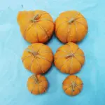 Halloween Decorative Ornament Small Pumpkin Bubble tag1